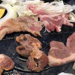 【サッポロビール園】開拓使麦酒|麦・酵母由来の甘味と、苦味が一気に押し寄せてサーっと引いていくキレのいいピルスナー