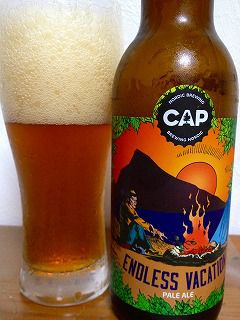 【2016年のお気に入りの酒】ビール ベスト１０