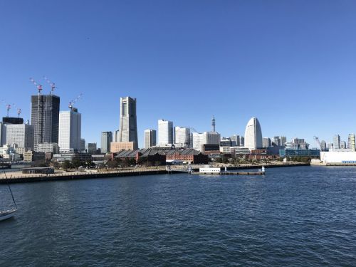 JAPAN BREWERS CUP 2019（ブルワーズカップ）に行ってきました。-国内外のクラフトビールが集結するビアフェスティバル-