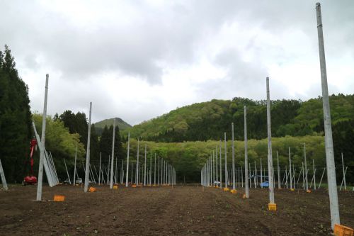 ビールと地域、農業がおもしろい