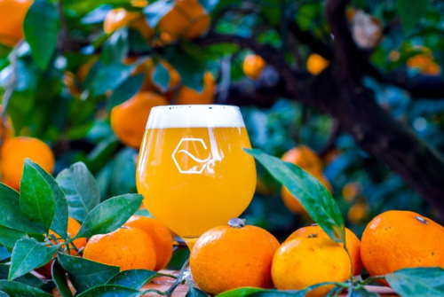 【和歌山】Nomcraft Brewing(ノムクラフトブリューイング):「Mikan Harvest Haze(ミカンハーベストヘイズ)」を樽で飲みました~