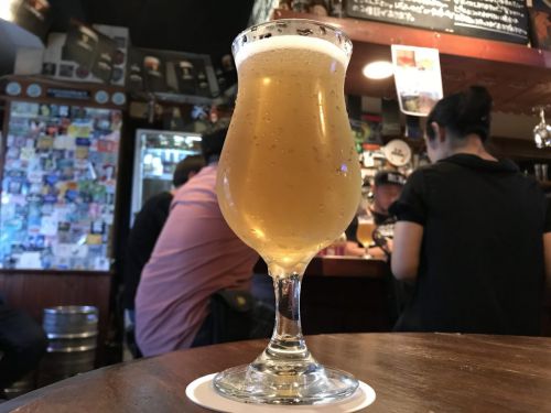 遠野醸造 白樺ゴールデンエール｜白樺の樹液を使用した、後味の爽やかなビール