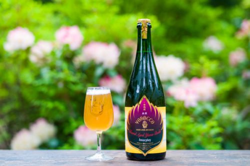 YOROCCO BEER x 志賀高原 / 木樽熟成山伏 Interplay 発売です！6本セットも！！