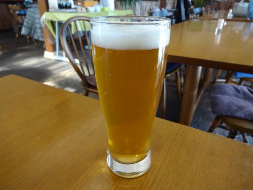 精麦から手掛けます 白山わくわくビール(その4)