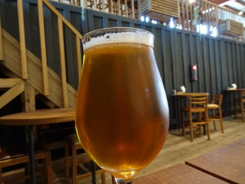 北海道横断ビール紀行が始まります