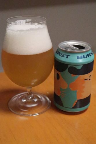 Mikkeller Brust IPA