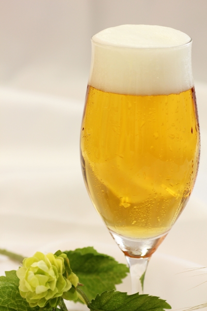 eni-bru [2/11(火) 本日のCRAFT BEER’s & SAKE ]